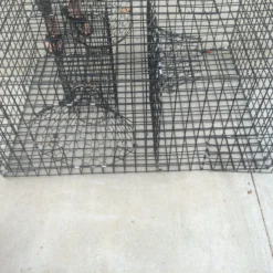 Lobster Port Trap Company Commercial Fish Trap