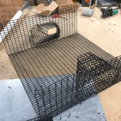 Lobster Port Trap Company 24X24X8.5 Oregon Commercial Coonstripe Shrimp Trap COMMERCIAL FISHING