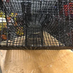 Lobster Port Trap Company 24X24X8.5 Oregon Commercial Coonstripe Shrimp Trap COMMERCIAL FISHING
