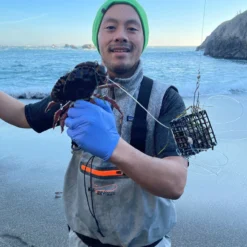 Lobster Port Trap Company Lobster Port Commercial Grade Wire Crab Snare