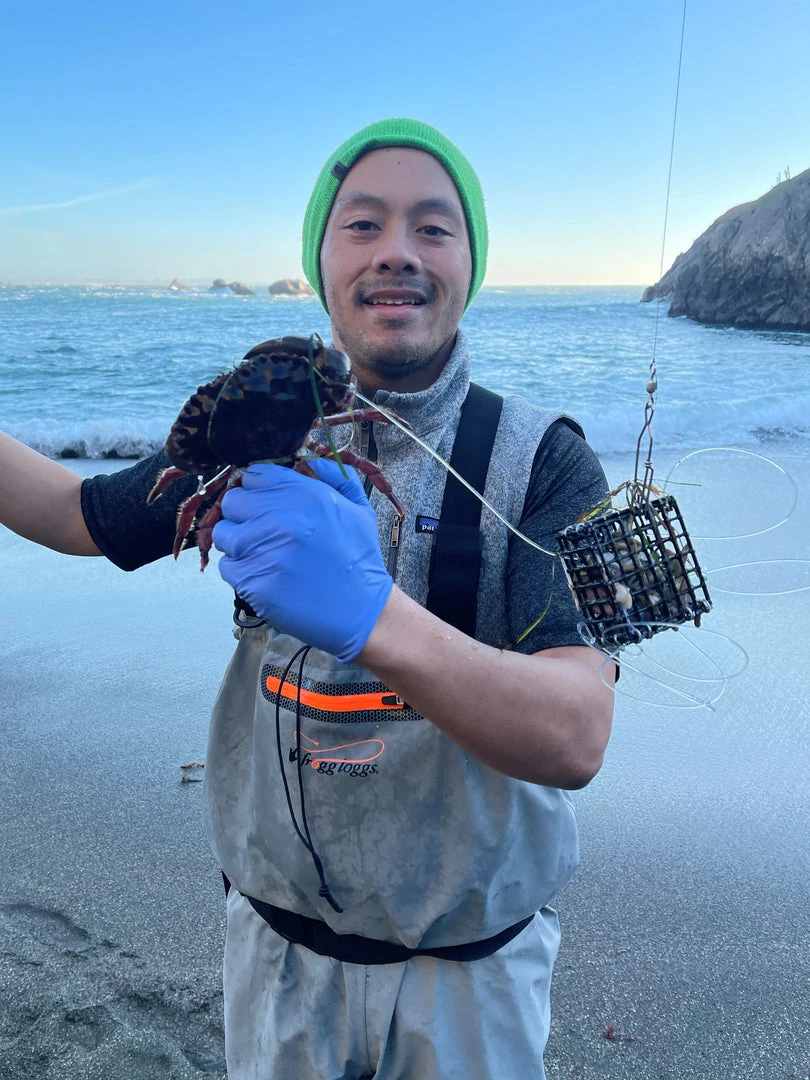 Lobster Port Trap Company Lobster Port Commercial Grade Wire Crab Snare 4 Lobster Port Trap Company Lobster Port Commercial Grade Wire Crab Snare