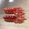 Combat Jigs Micro Hellcraw 2.3 FISHING TACKLE 1 Combat Jigs Micro Hellcraw 2.3 FISHING TACKLE