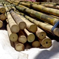 Lobster Port Trap Company COMMERCIAL FISHING Calcutta Bamboo Gaff Blanks