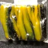 Kid Baits 1.5 Inch Tube Baits 2 Kid Baits 1.5 Inch Tube Baits