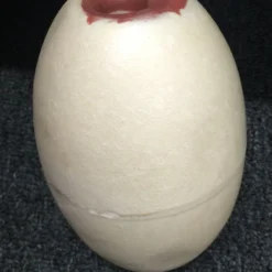 Bao Long COMMERCIAL FISHING Commercial Gill Net Buoy