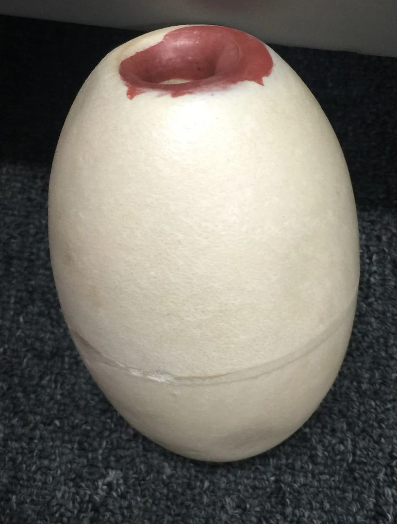 Bao Long COMMERCIAL FISHING Commercial Gill Net Buoy 3 Bao Long COMMERCIAL FISHING Commercial Gill Net Buoy