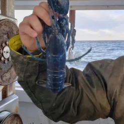 Sevaen I5506 Tear-Resistant Zippered Jacket