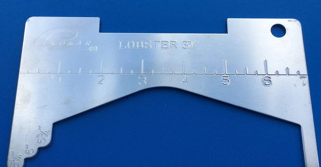Promar Aluminum Lobster & Crab Gauge 4 Promar Aluminum Lobster & Crab Gauge