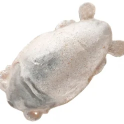 Berkley Saltwater Gulp! Sand Crab/Flea FISHING TACKLE