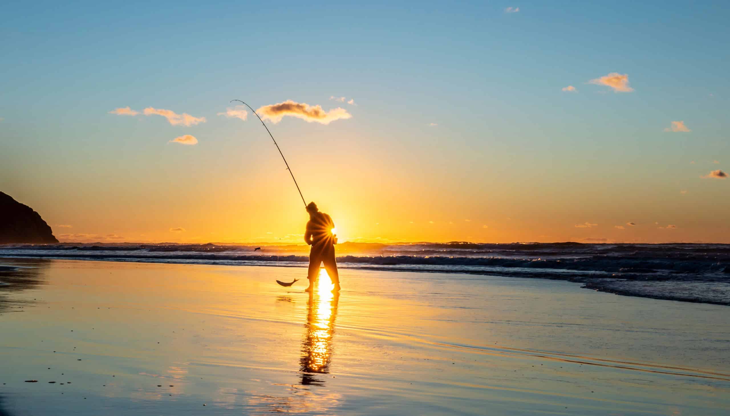 Angler Venture Sales -Angler Venture Sales Fishing Trips NSW South Coast image credit destination nsw